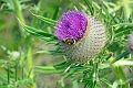 18 07 13_5392_edited-1